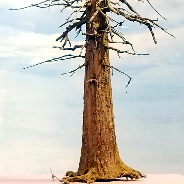 Snag Trees - 18 Inches