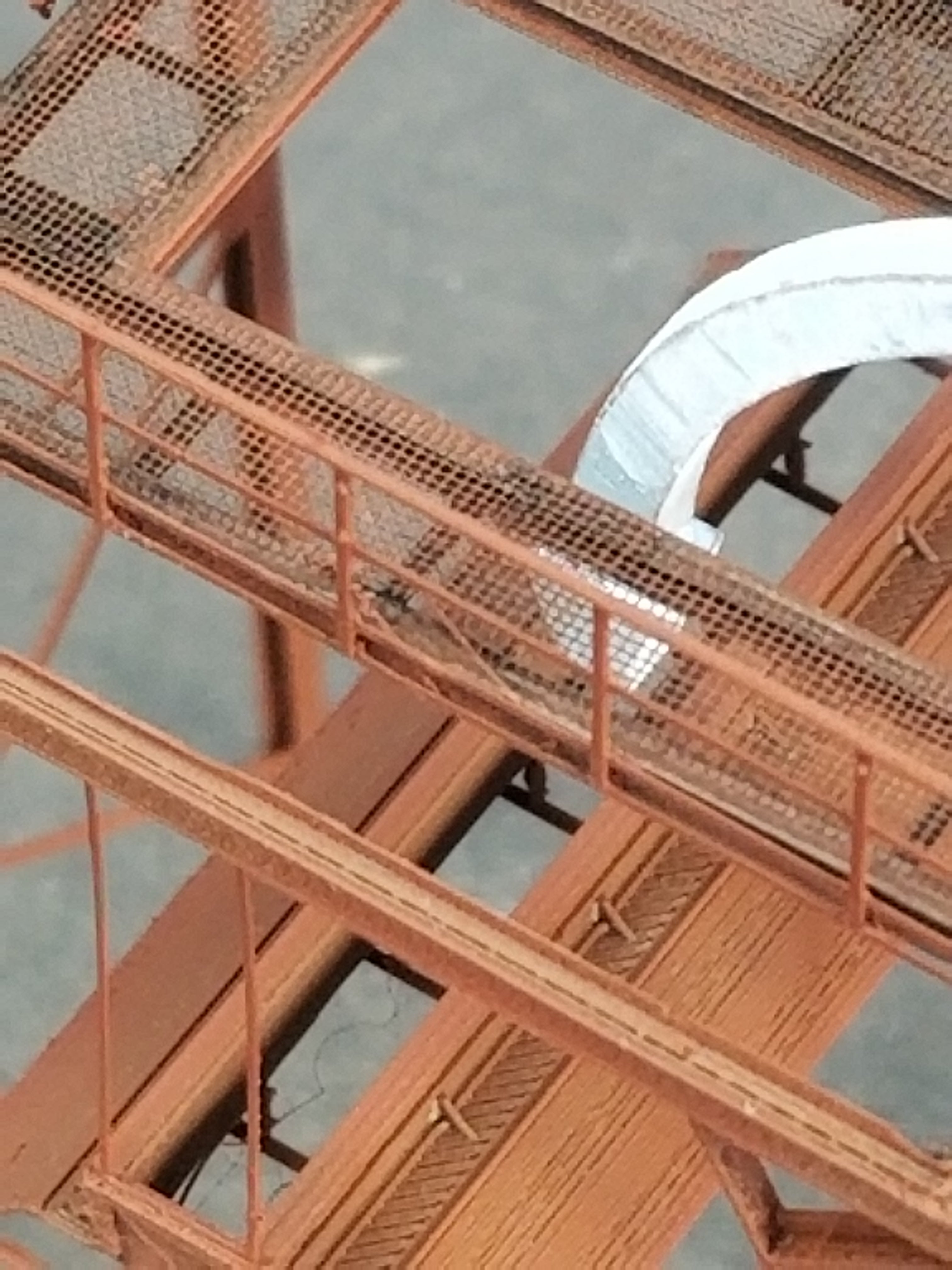 CHIP LOADER, FOR RAIL, MADE-TO-ORDER, N SCALE