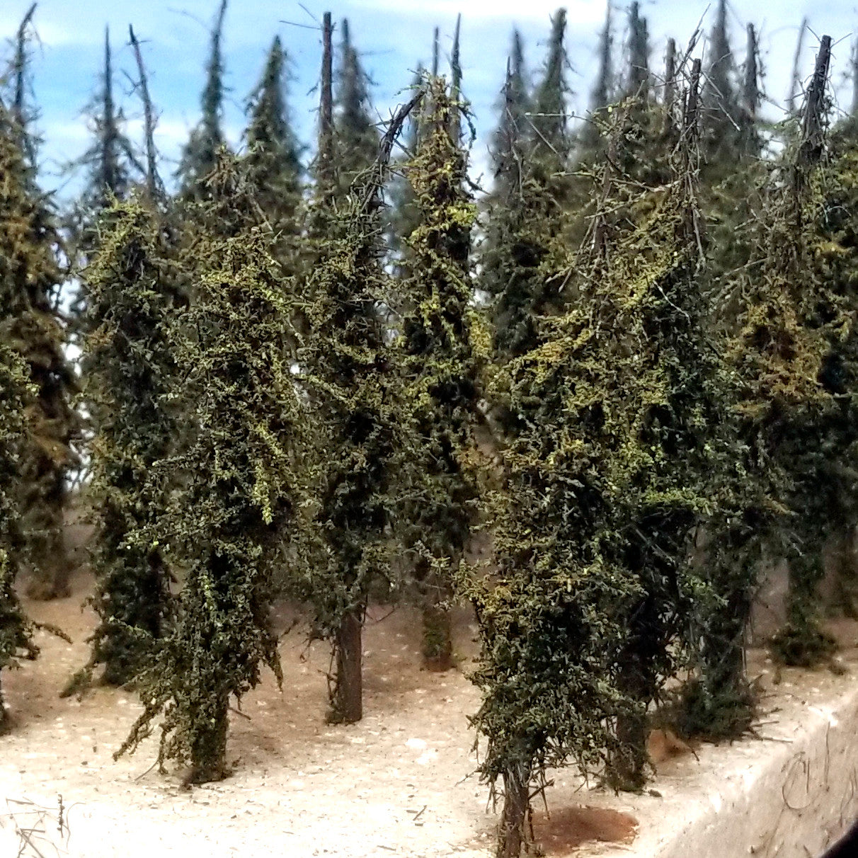 ALPINE Trees, 3-4.5 inches, EIGHT, 25, or 100 Trees