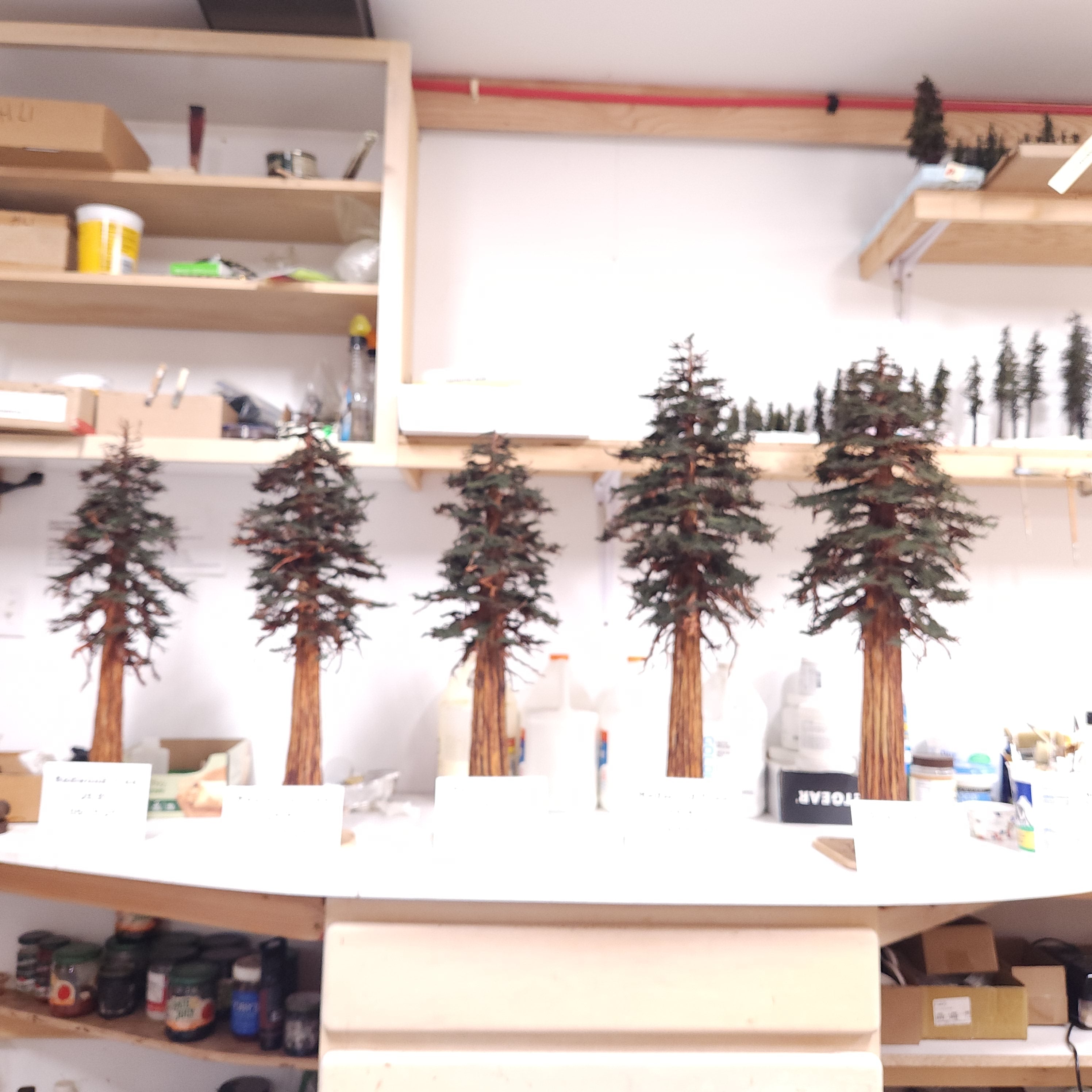 Redwood Tree 22 Inch