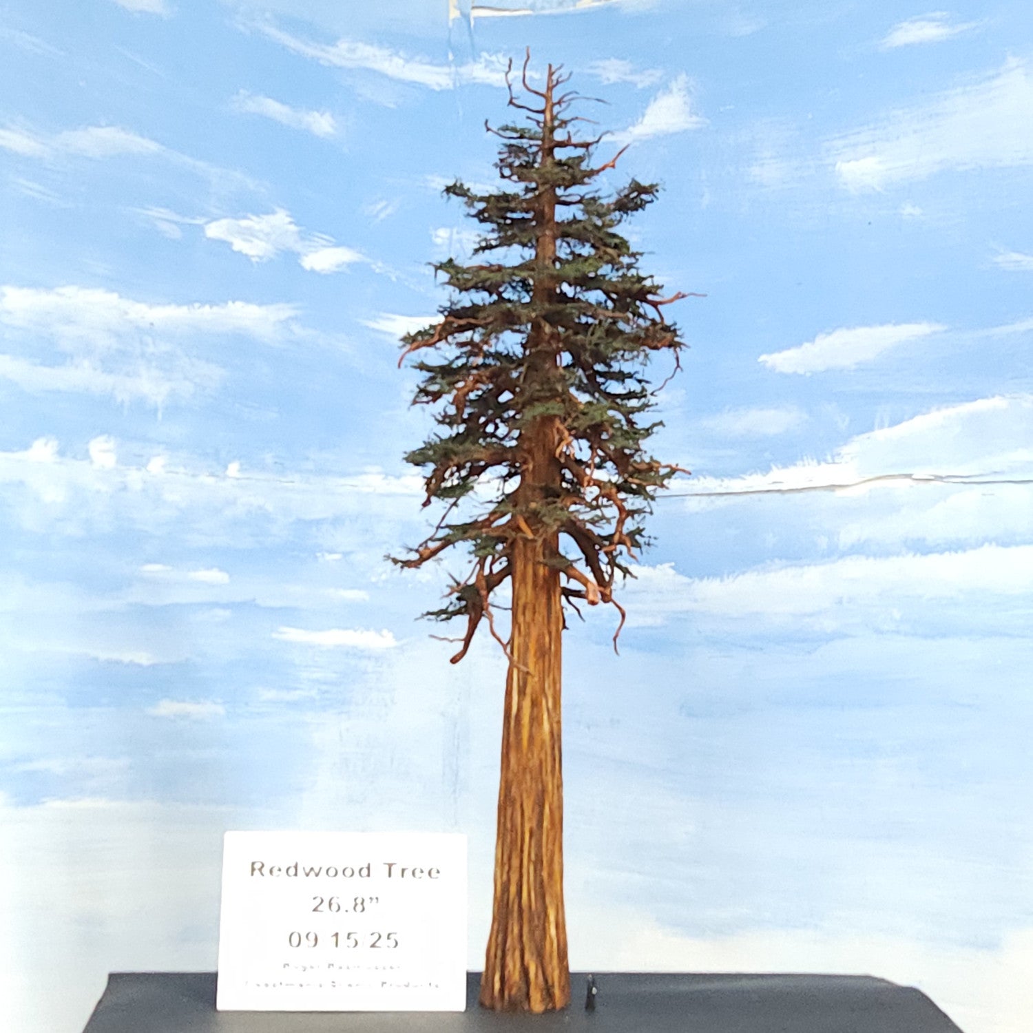 Redwood Tree 22 Inch