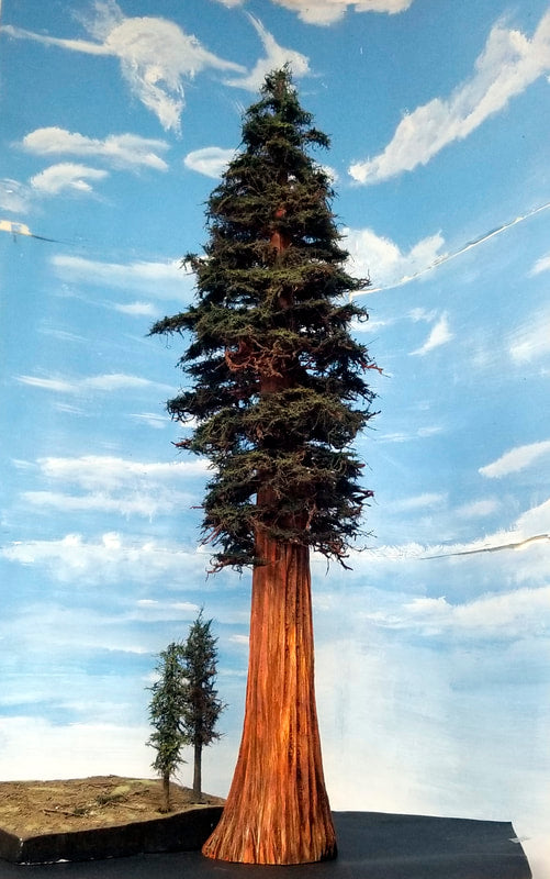 Redwood Tree 42 Inch