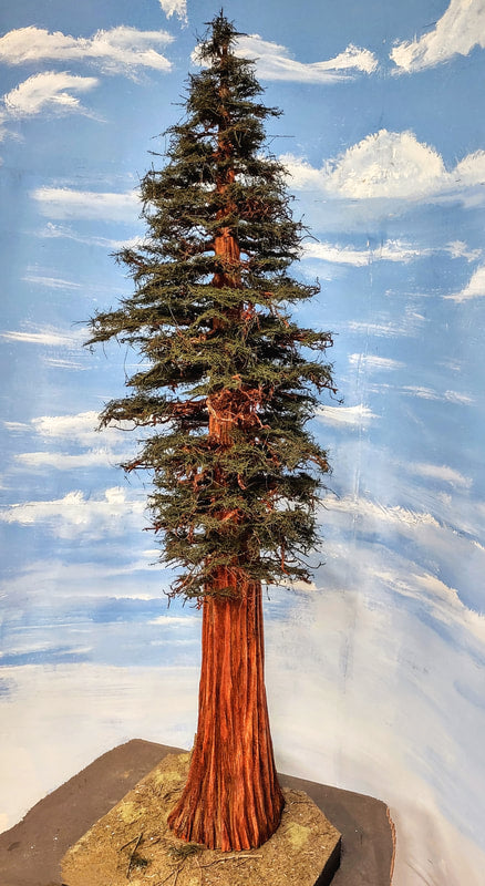 Redwood Tree 42 Inch