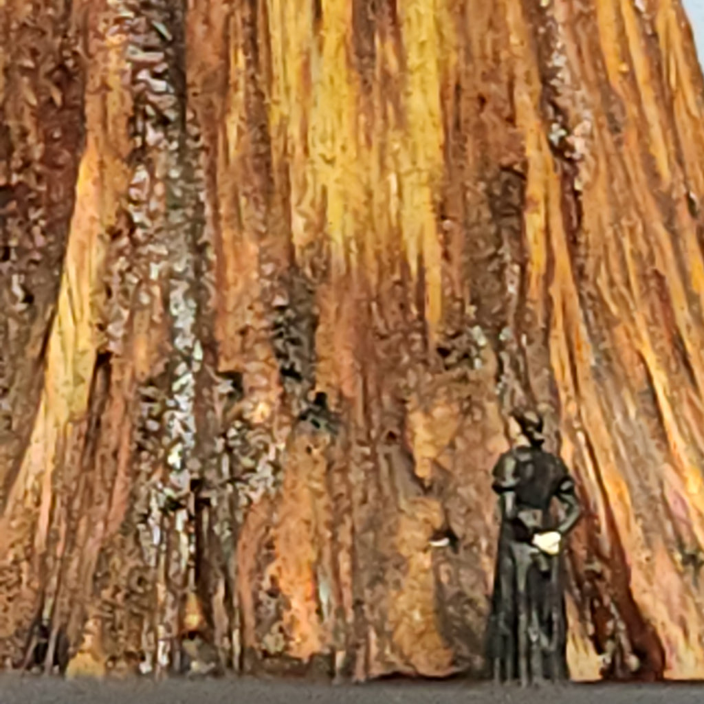 Redwood Tree 42 Inch