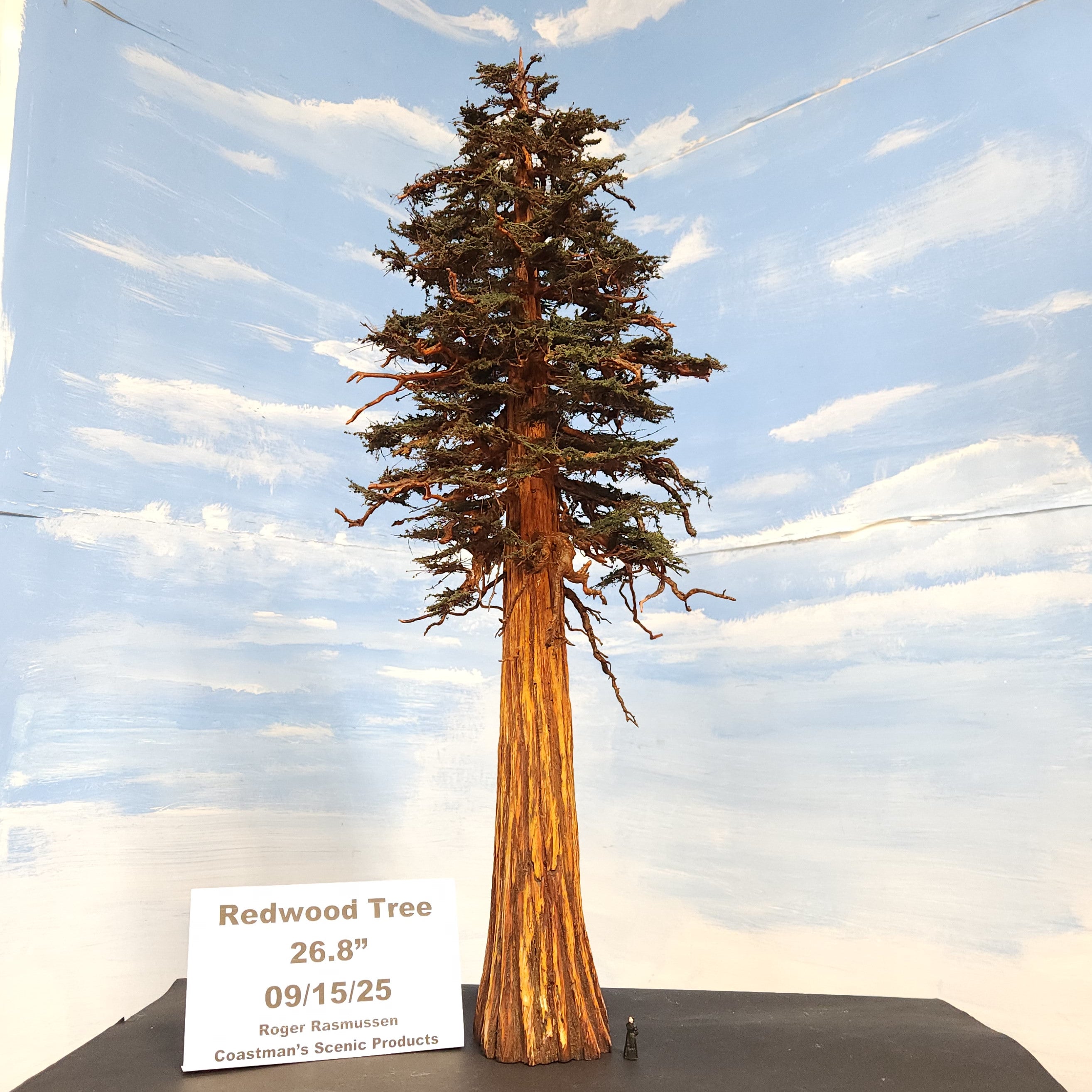 Redwood Tree 24 Inch