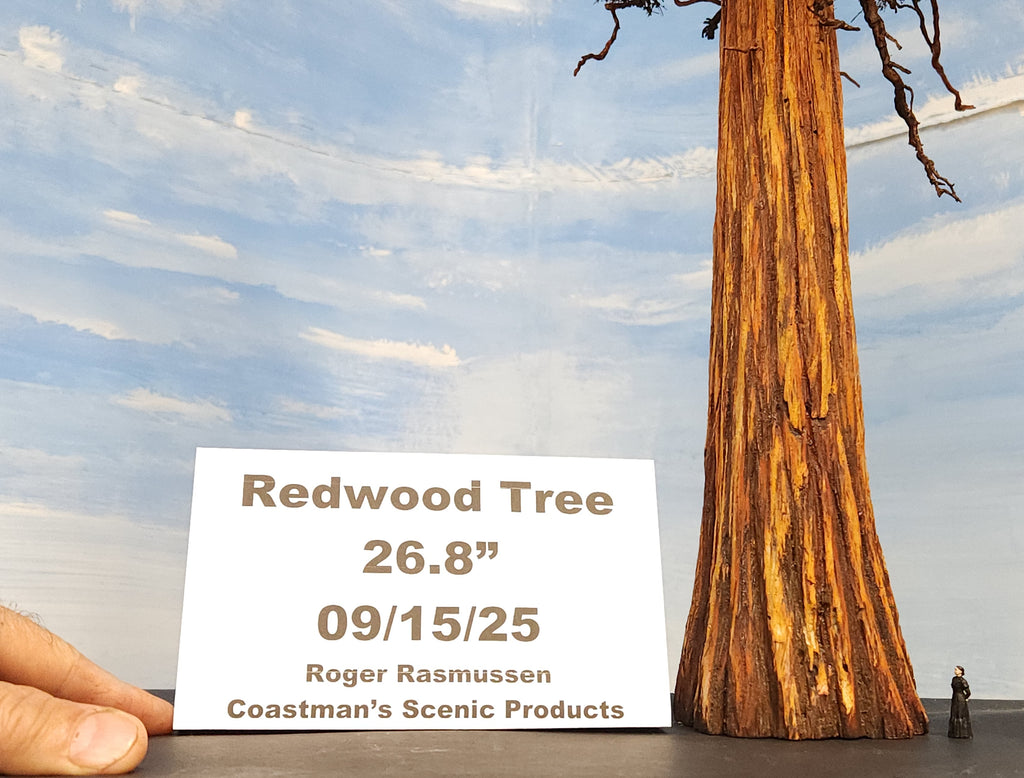 Model of a Redwood Tree 27 inches tall with a hand and S scale figurine