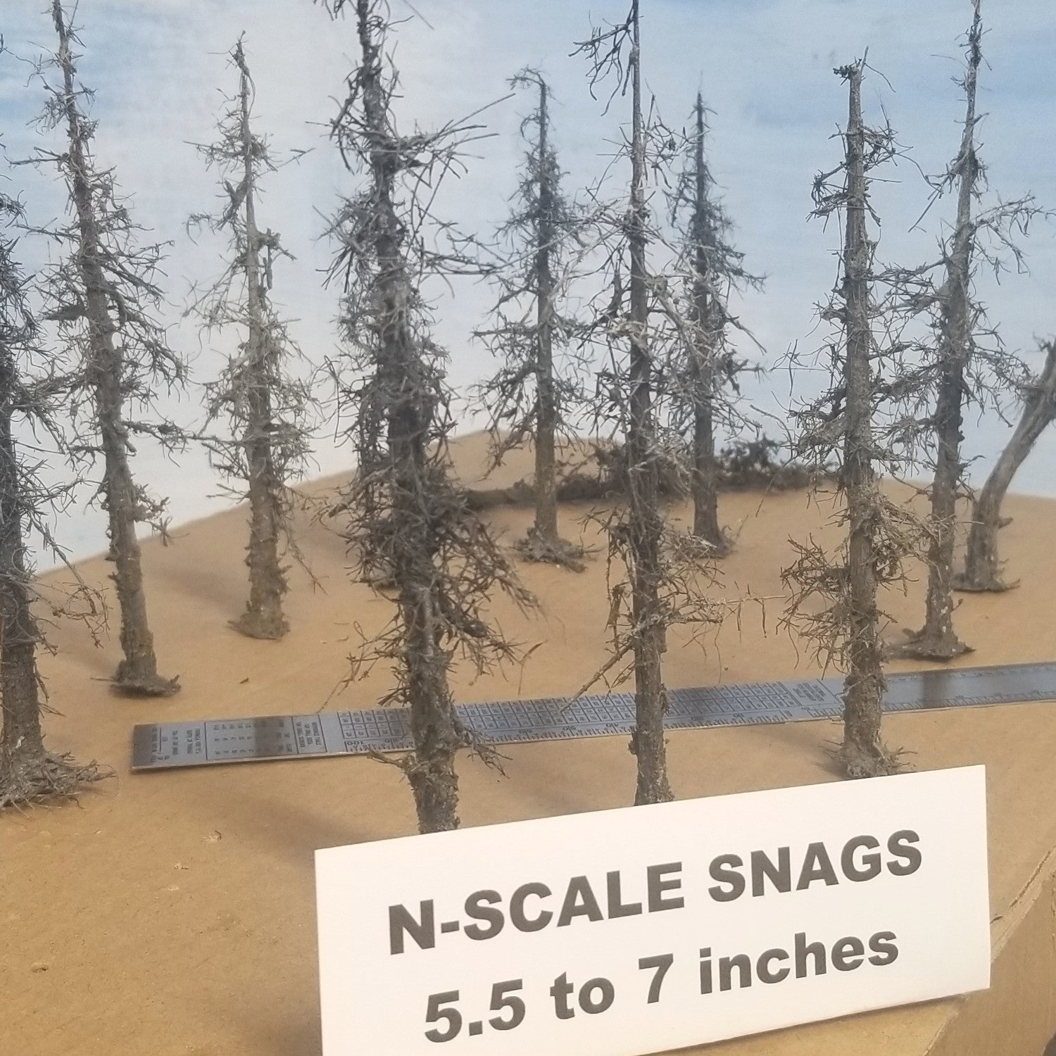 Rough Snags 5 to 7 inches