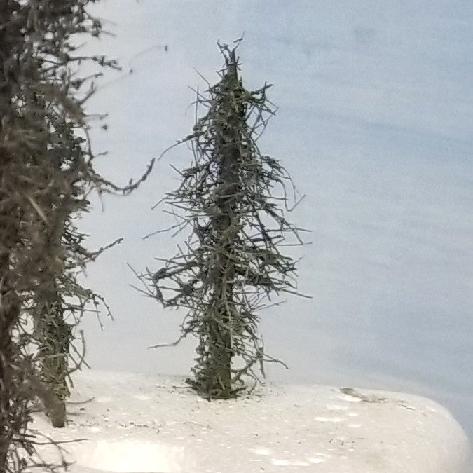 2" Background Trees qty 100