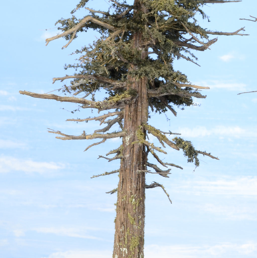 Double Trunk Tree - 13 Inches