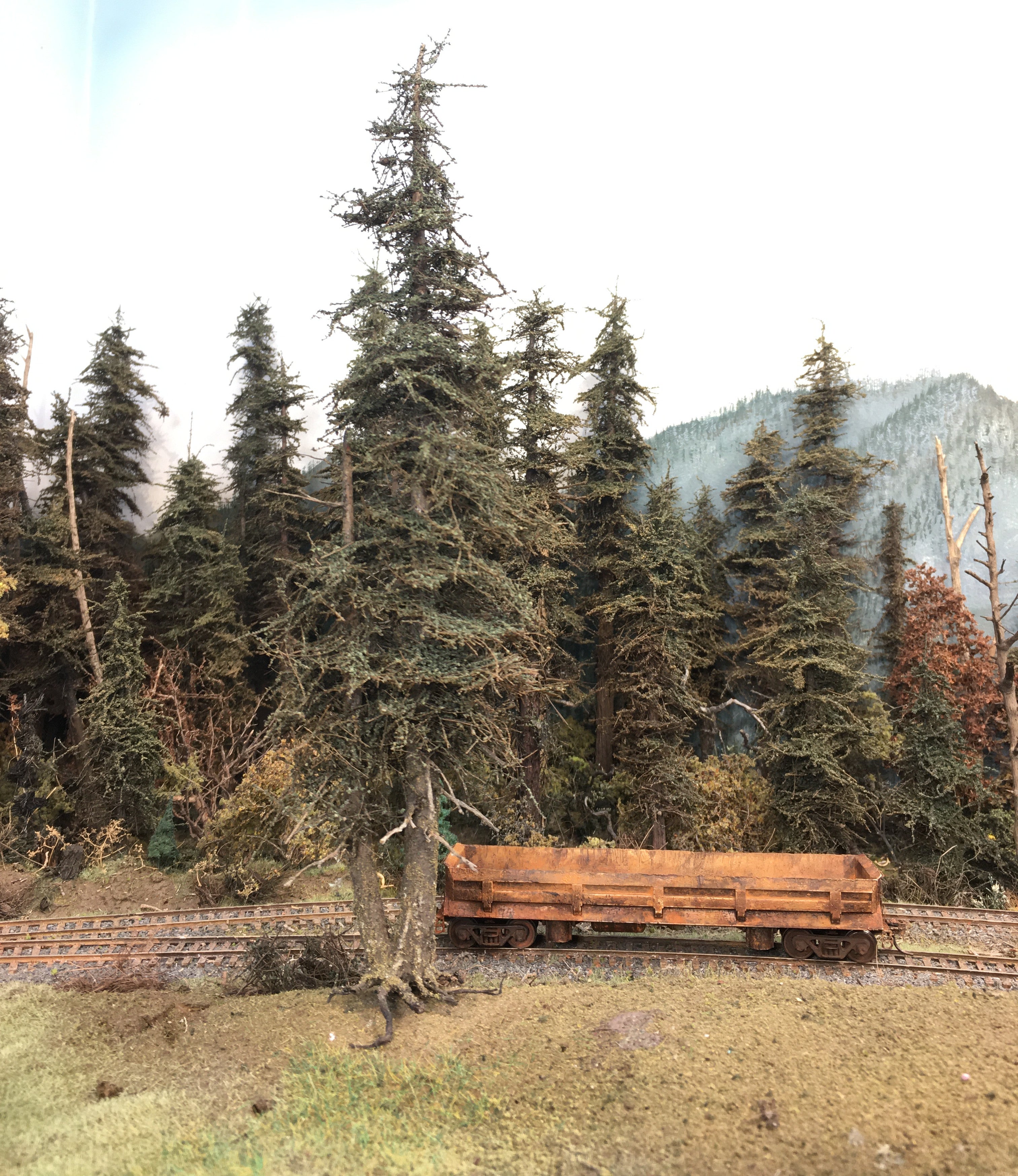 Double Trunk Fir Tree, 9 Inches