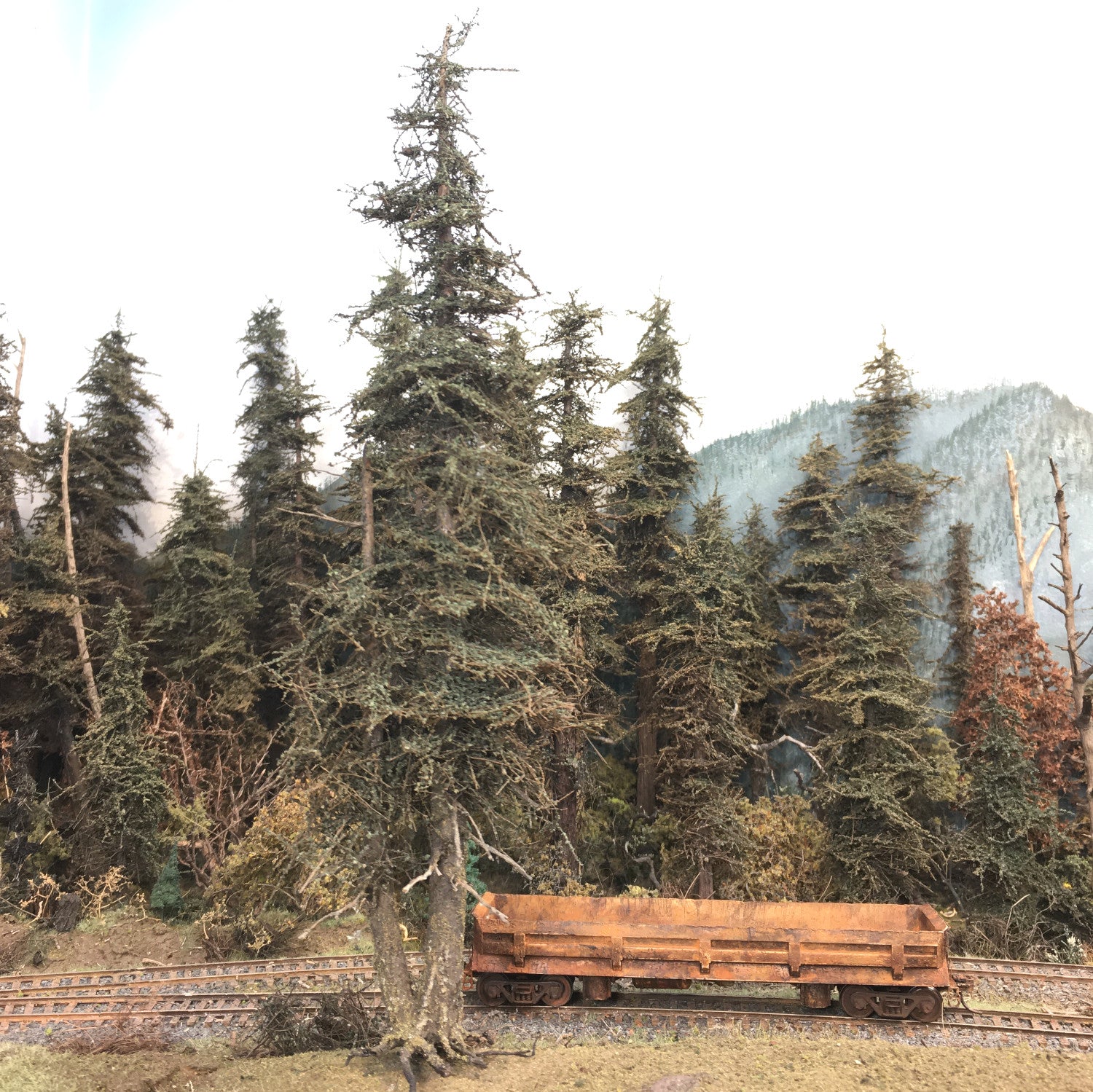 Double Trunk Tree - 11 Inch