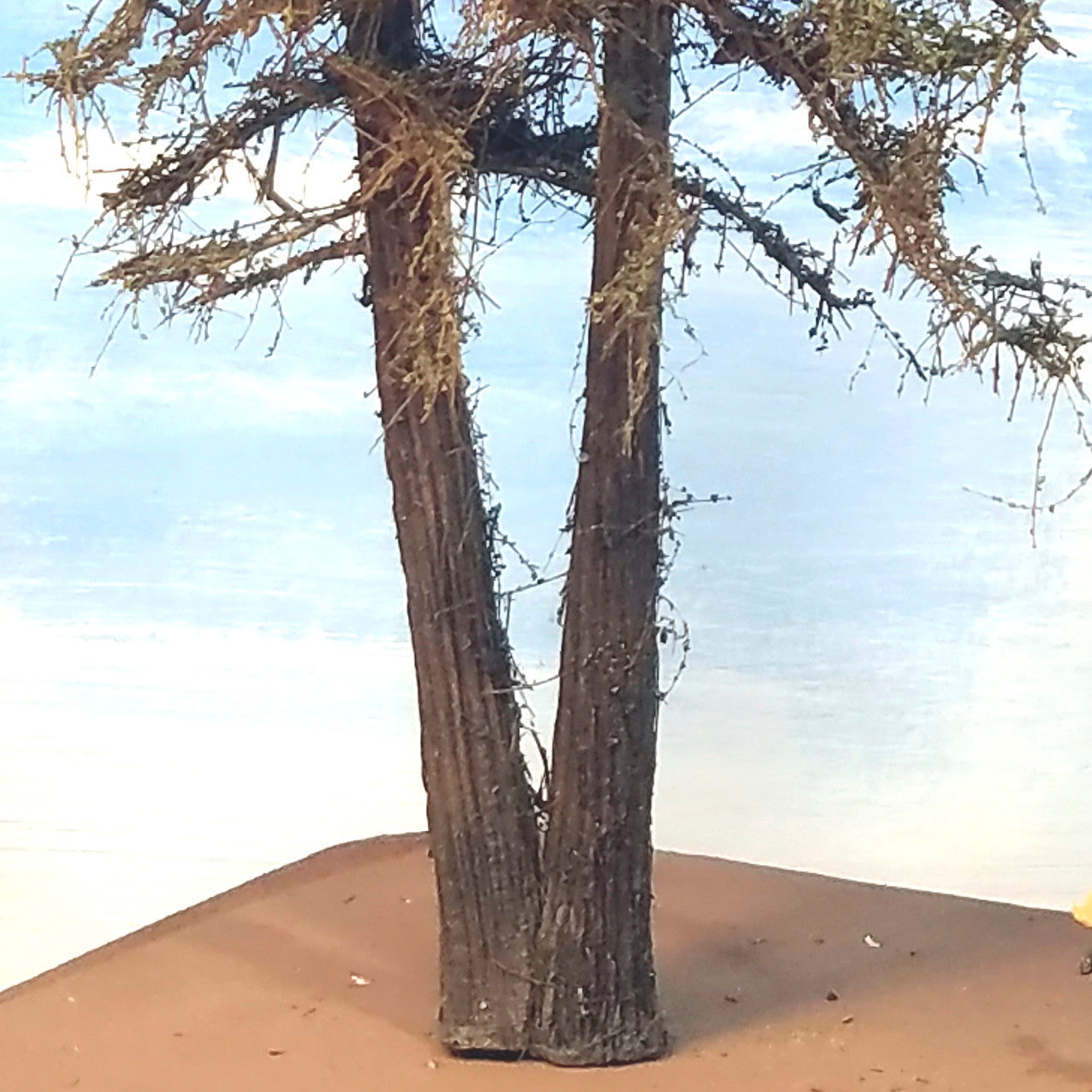 Double Trunk Tree - 13 Inches