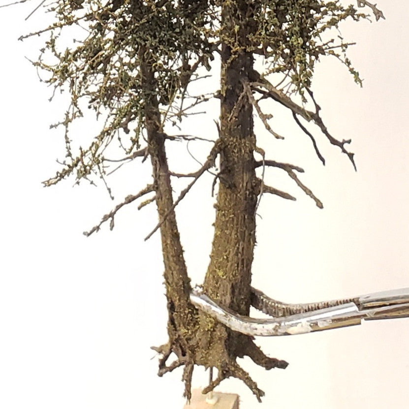 Double Trunk Tree - 11 Inch