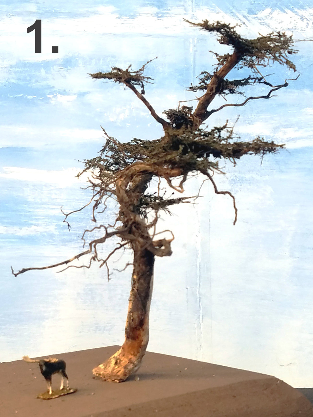 WindyTree #1