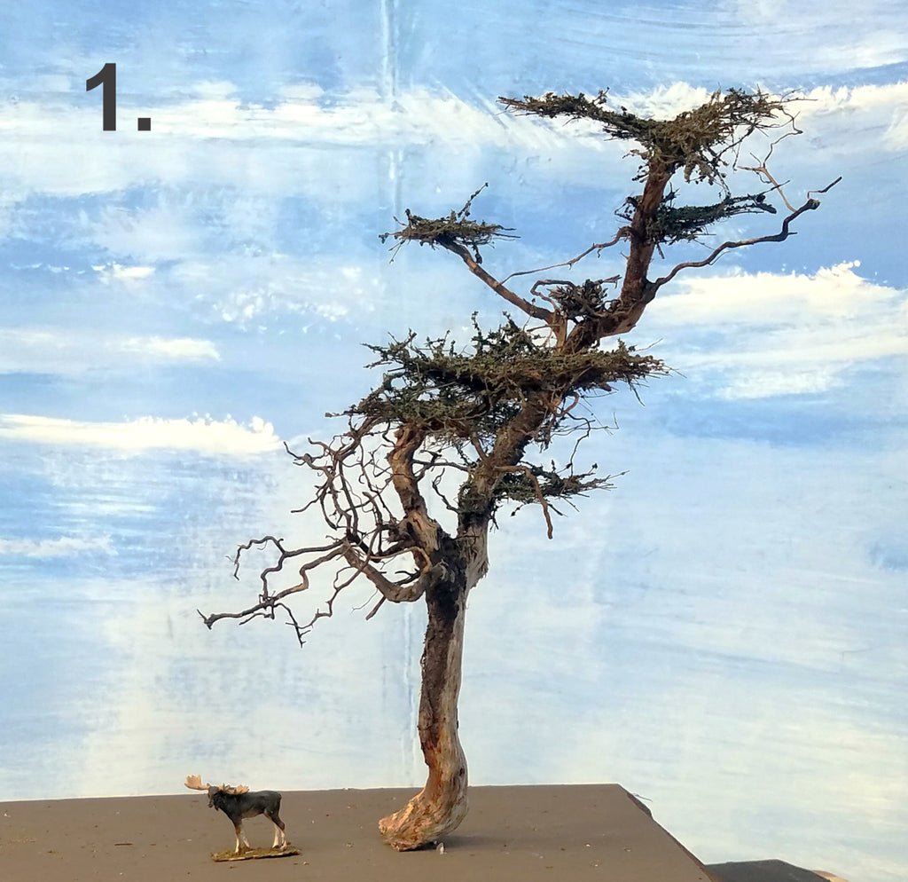 WindyTree #1