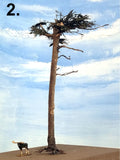 WindyTree #2