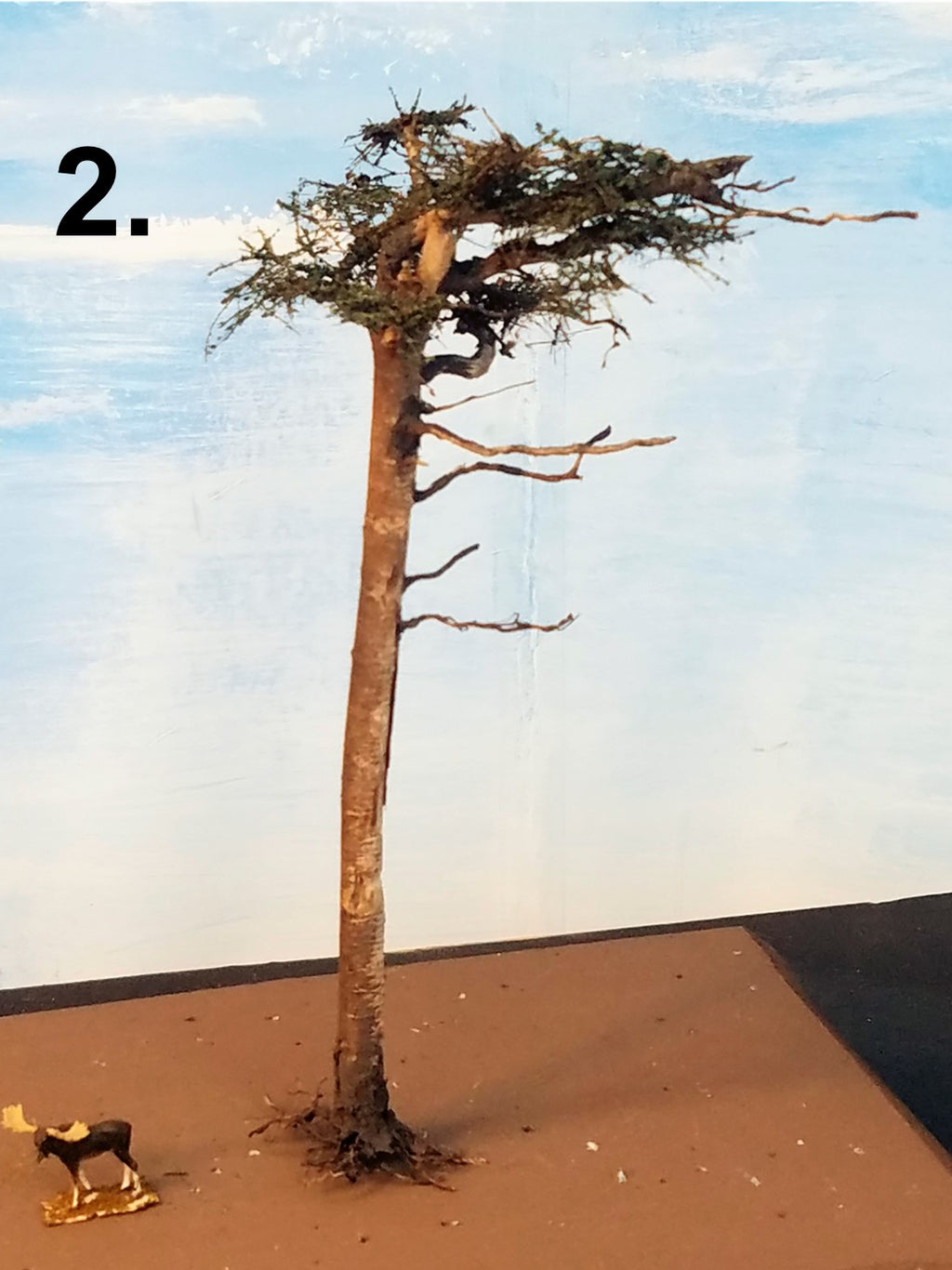 WindyTree #2
