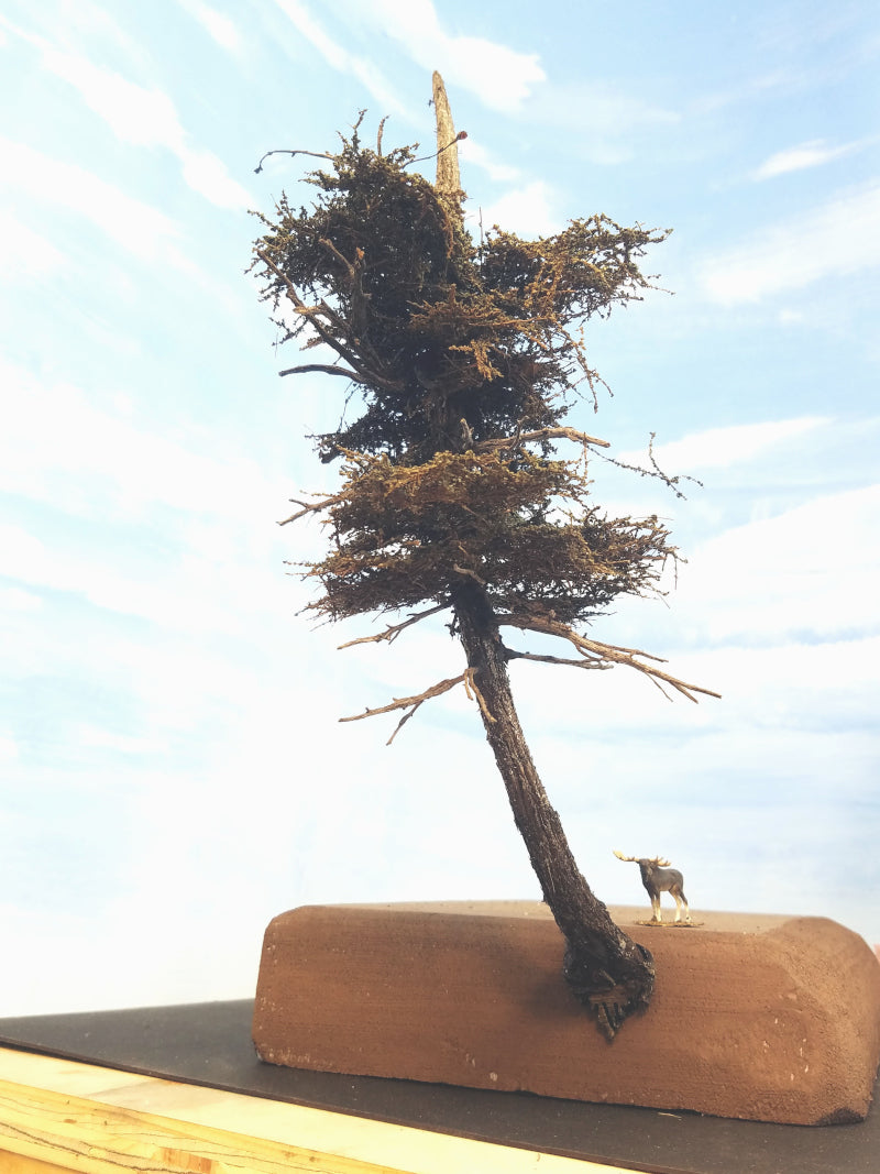 WindyTree #4