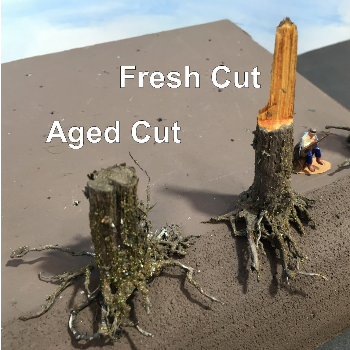 Combo Stumps, Fresh-Cut, Three