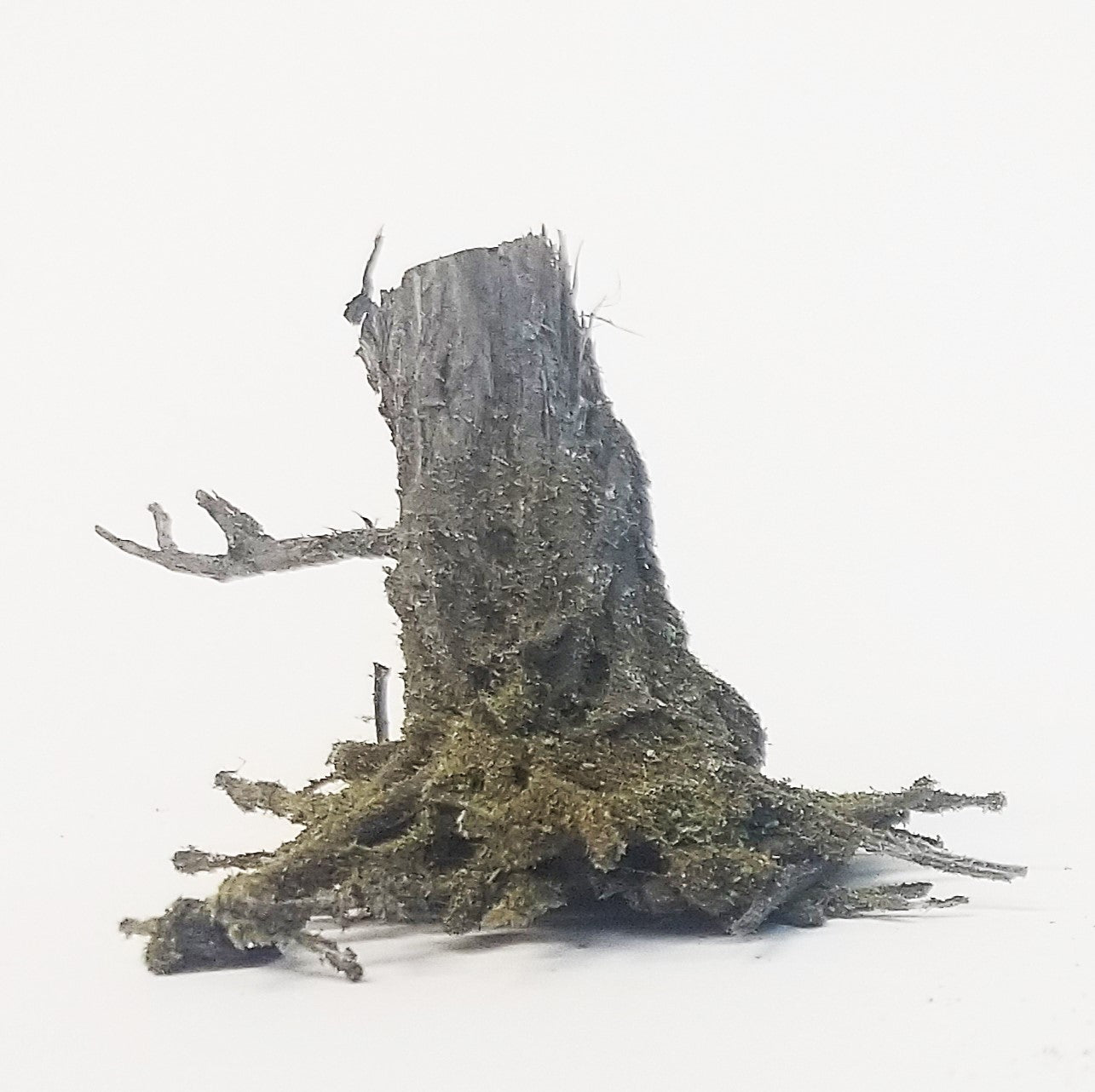 Stumps, 5/16", Chainsaw-Aged-Cut, Three