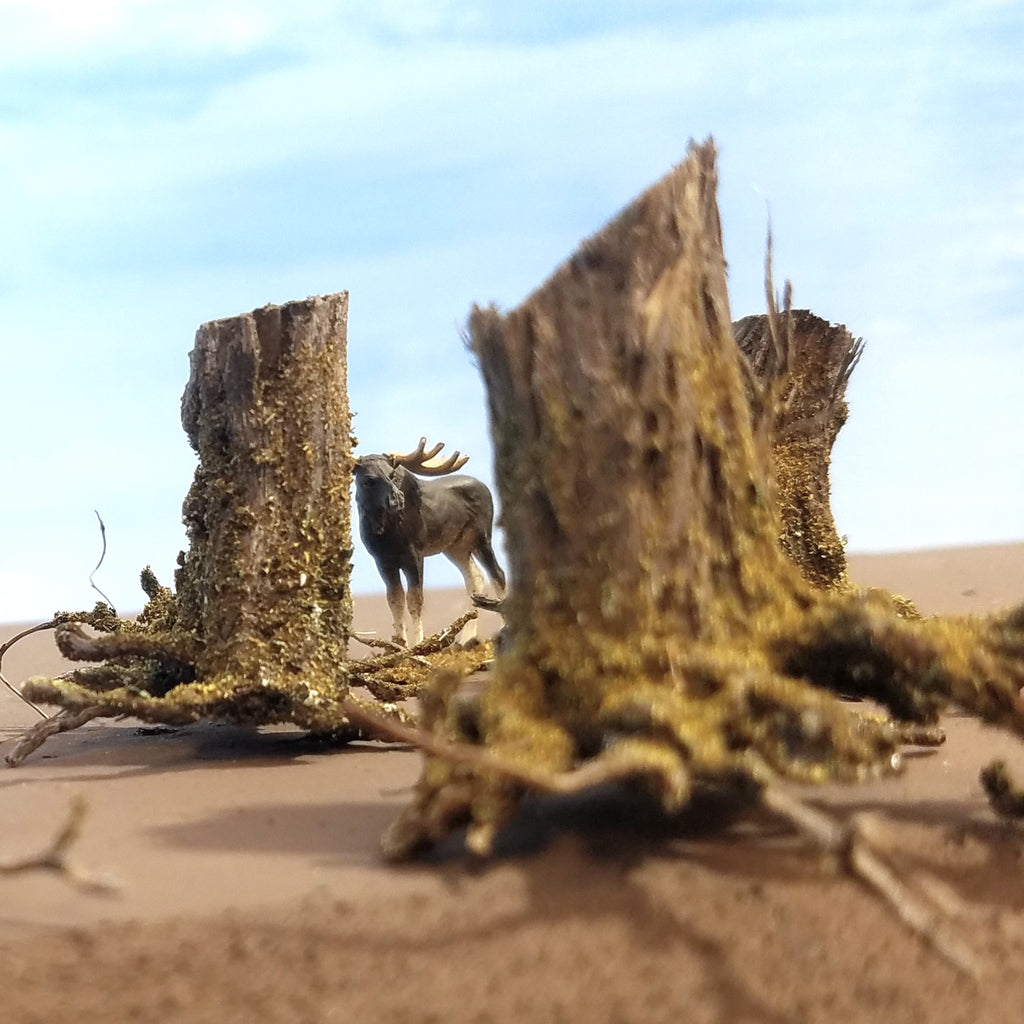 Combo Stumps, Aged-Cut & Fresh Cut, Six