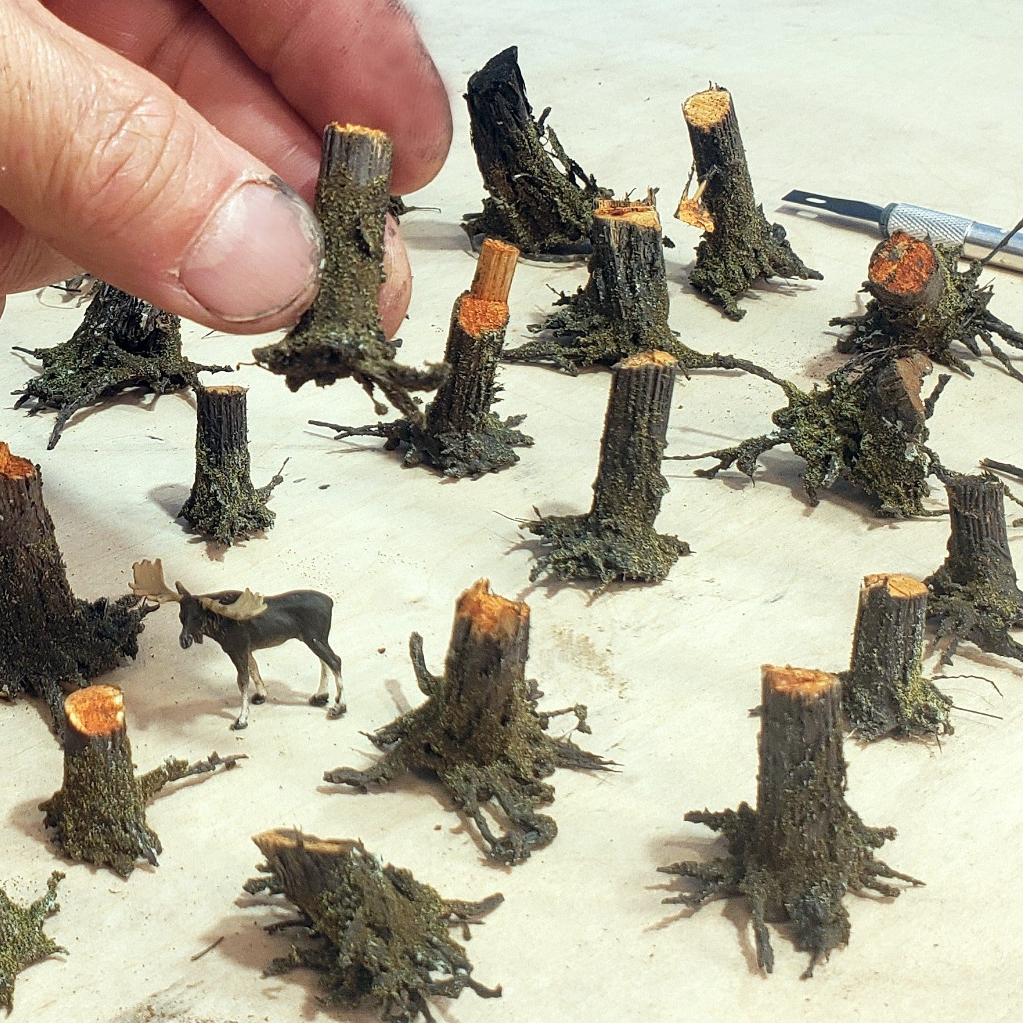 Stumps, 3/8", Chainsaw-Fresh-Cut, Three