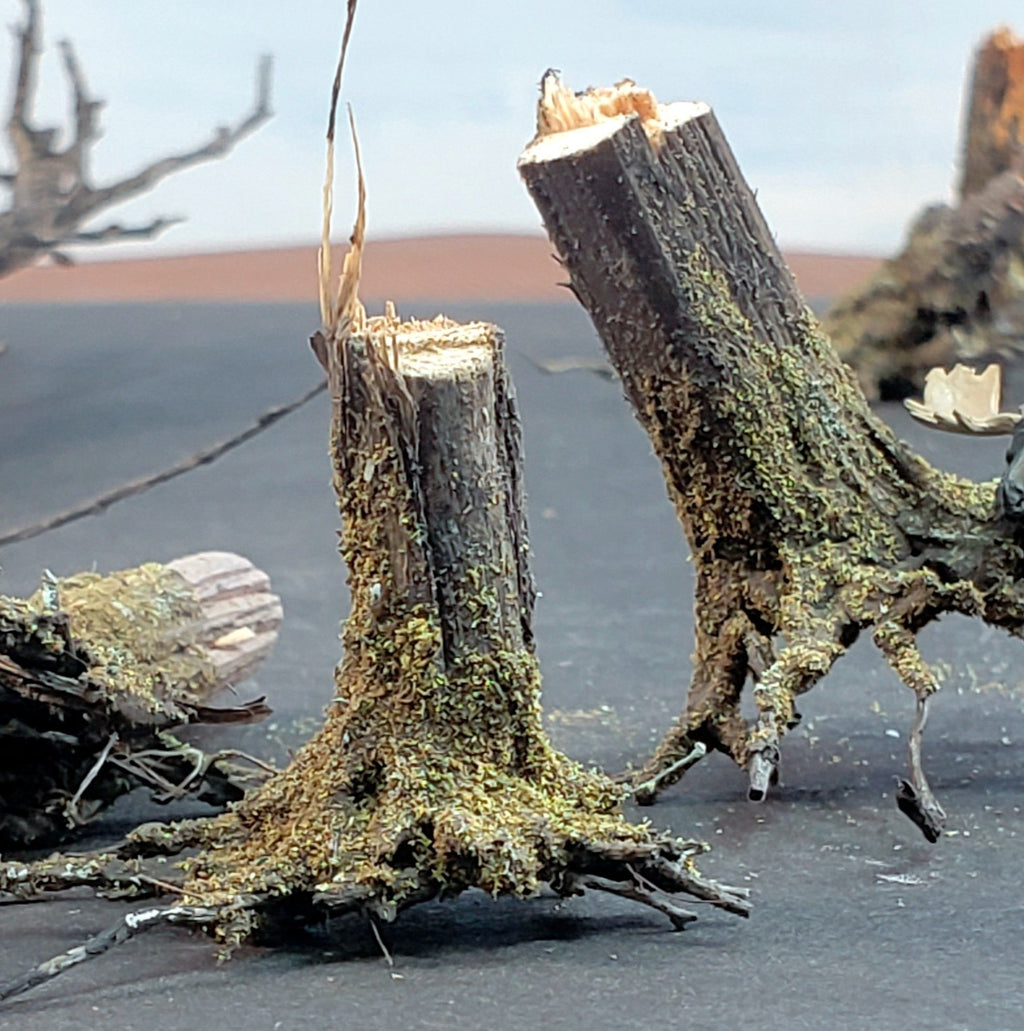 Stumps, 1/2", Chainsaw-Fresh-Cut, Three