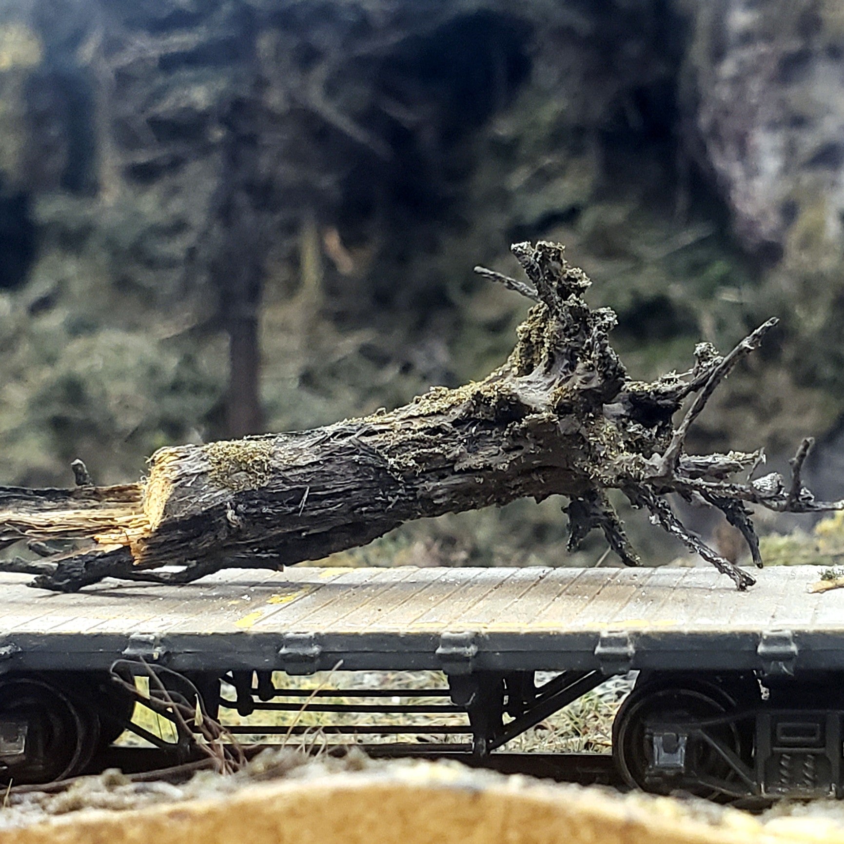 Stumps, 1/2", Chainsaw-Aged-Cut, Three