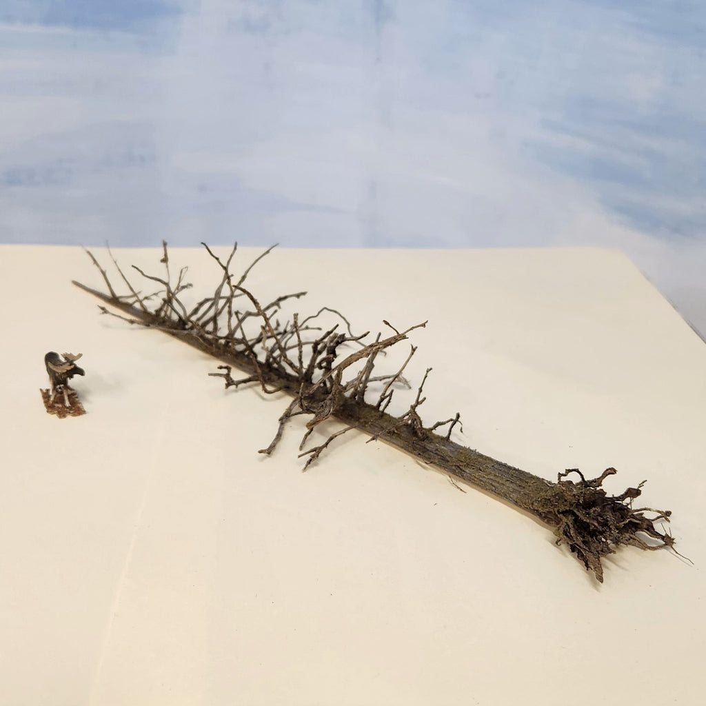 Lying Snag - 11 Inch