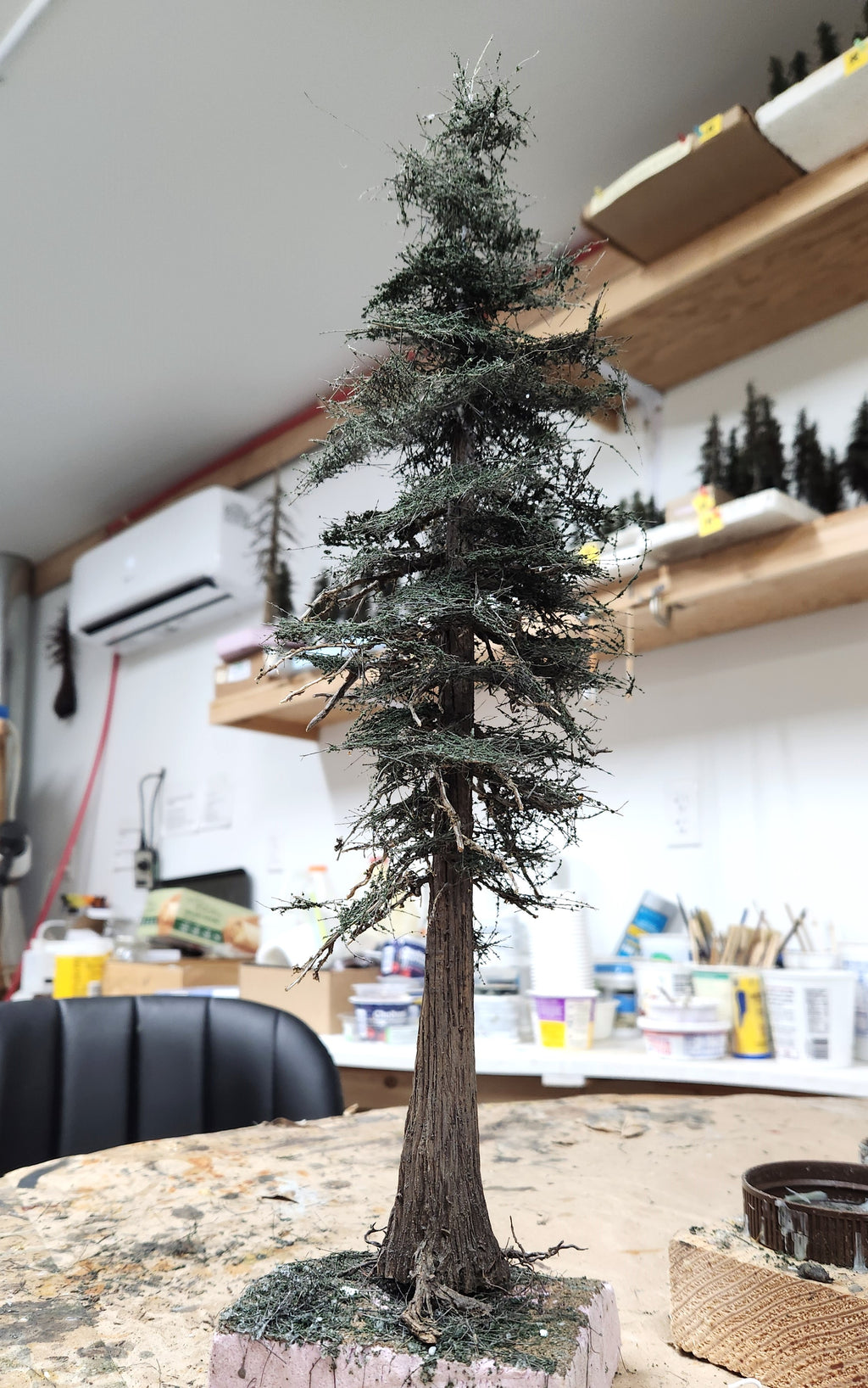 16 Inch Maximum Detail Fir