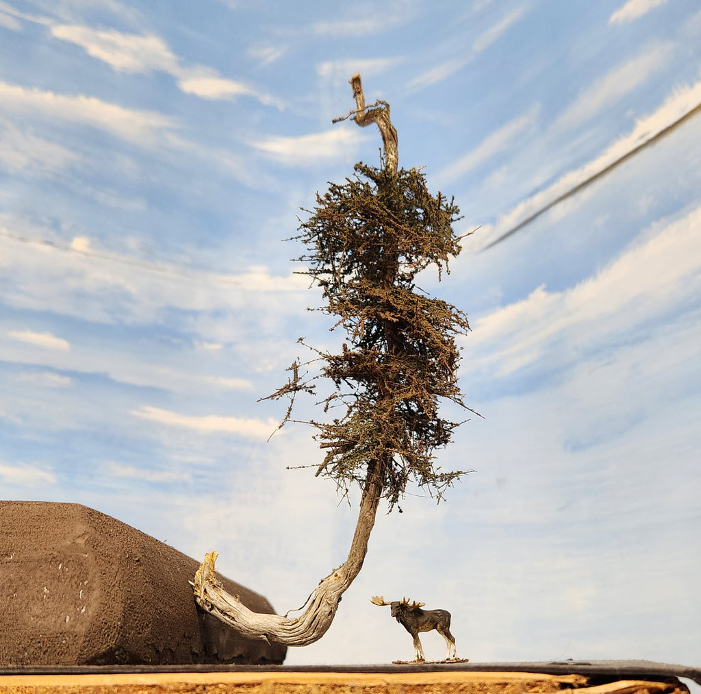 Cliffhanger Windy