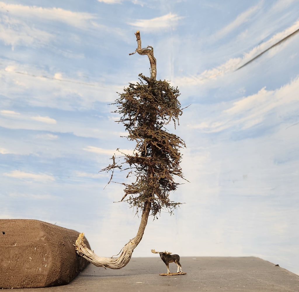 Cliffhanger Windy