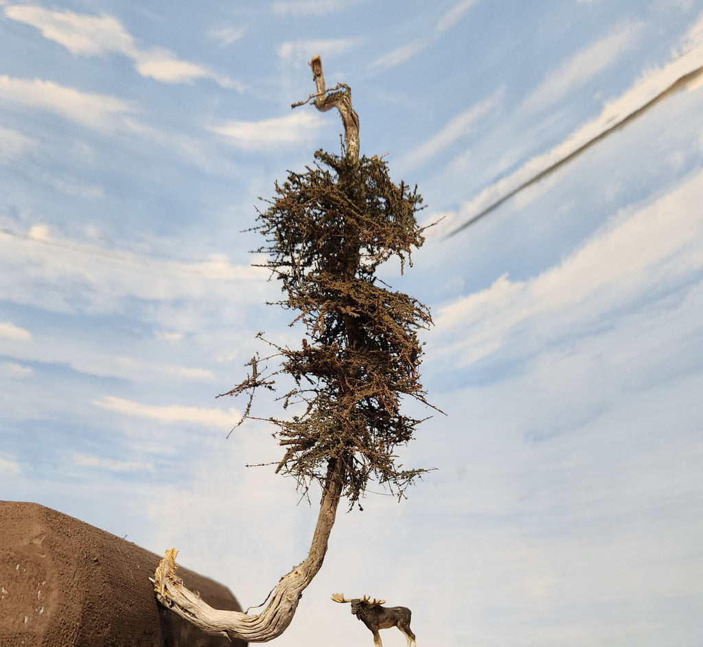 Cliffhanger Windy