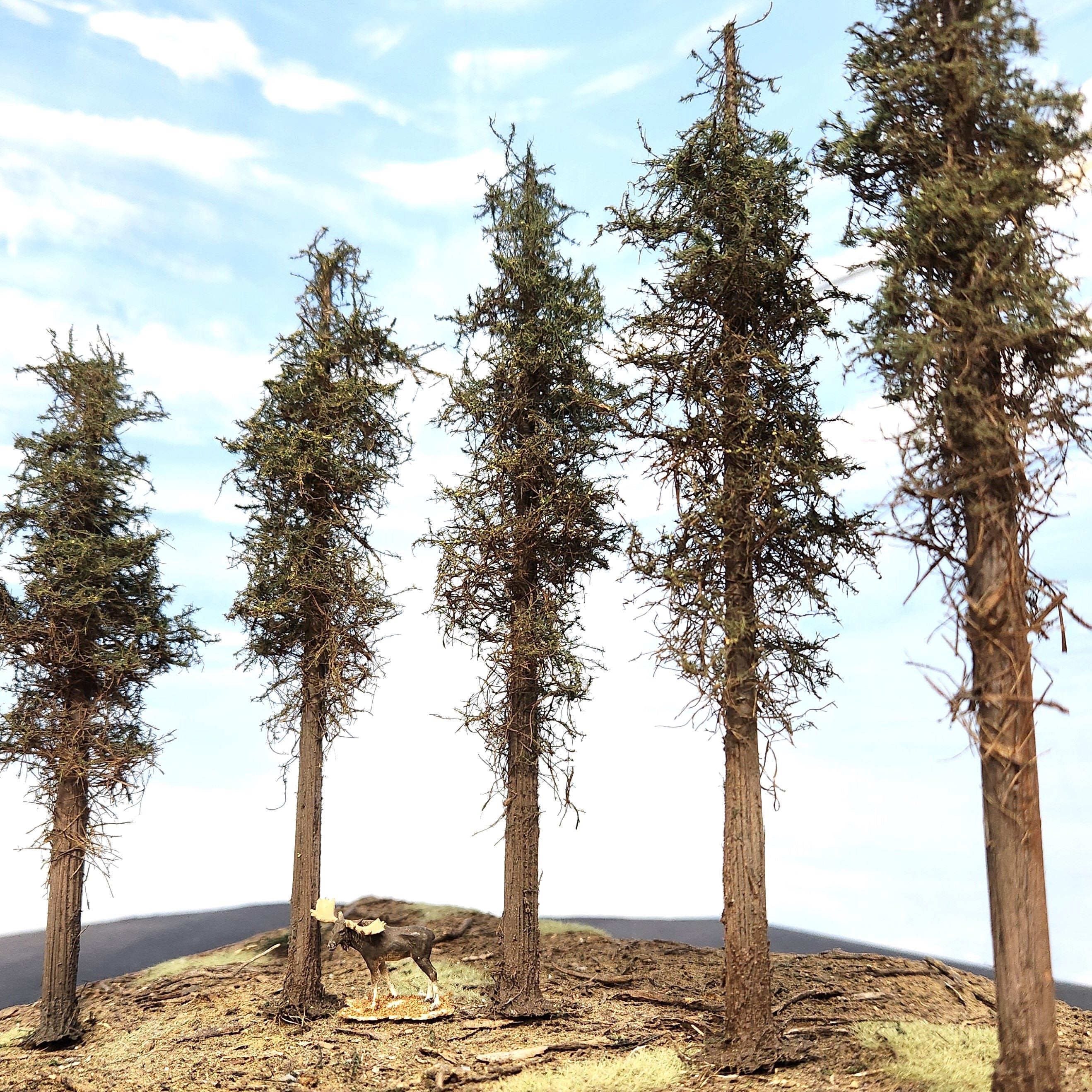 Lodgepole-Style Pine Trees, 8 inches, Five Trees