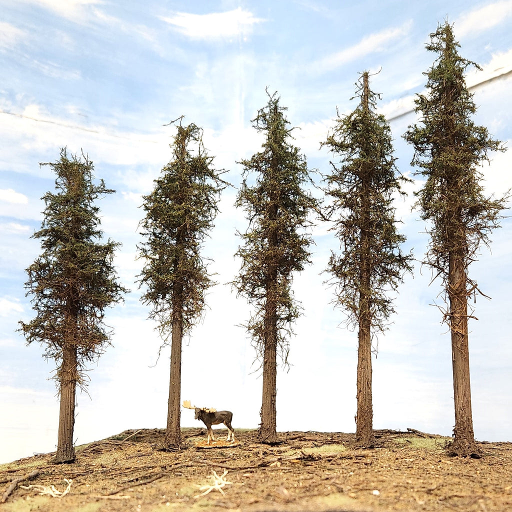 Lodgepole-Style Pine Trees, 8 inches, Five Trees