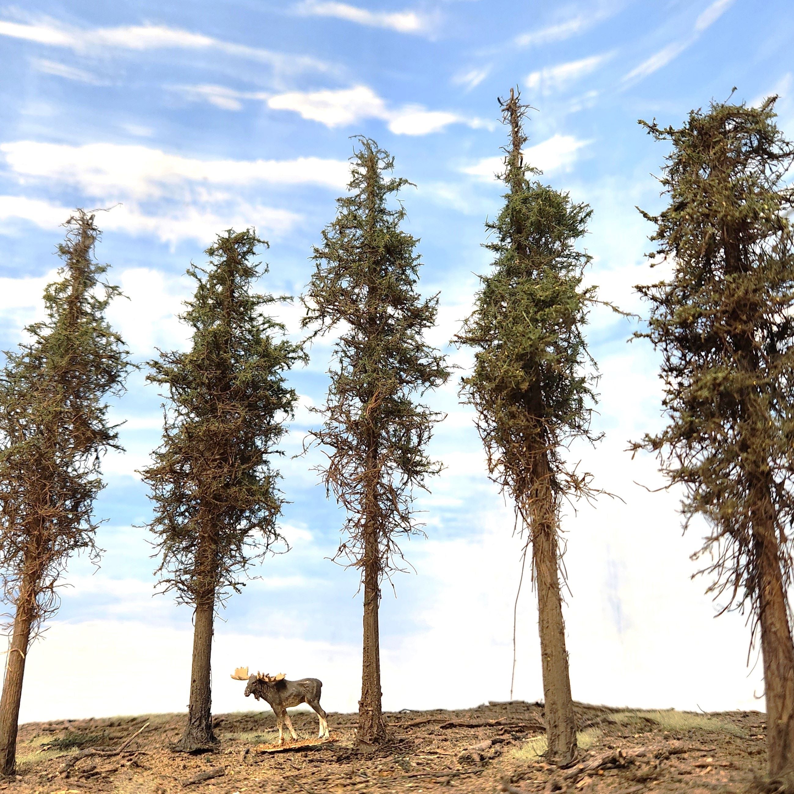 Lodgepole-Style Pine Trees, 8 inches, Five Trees