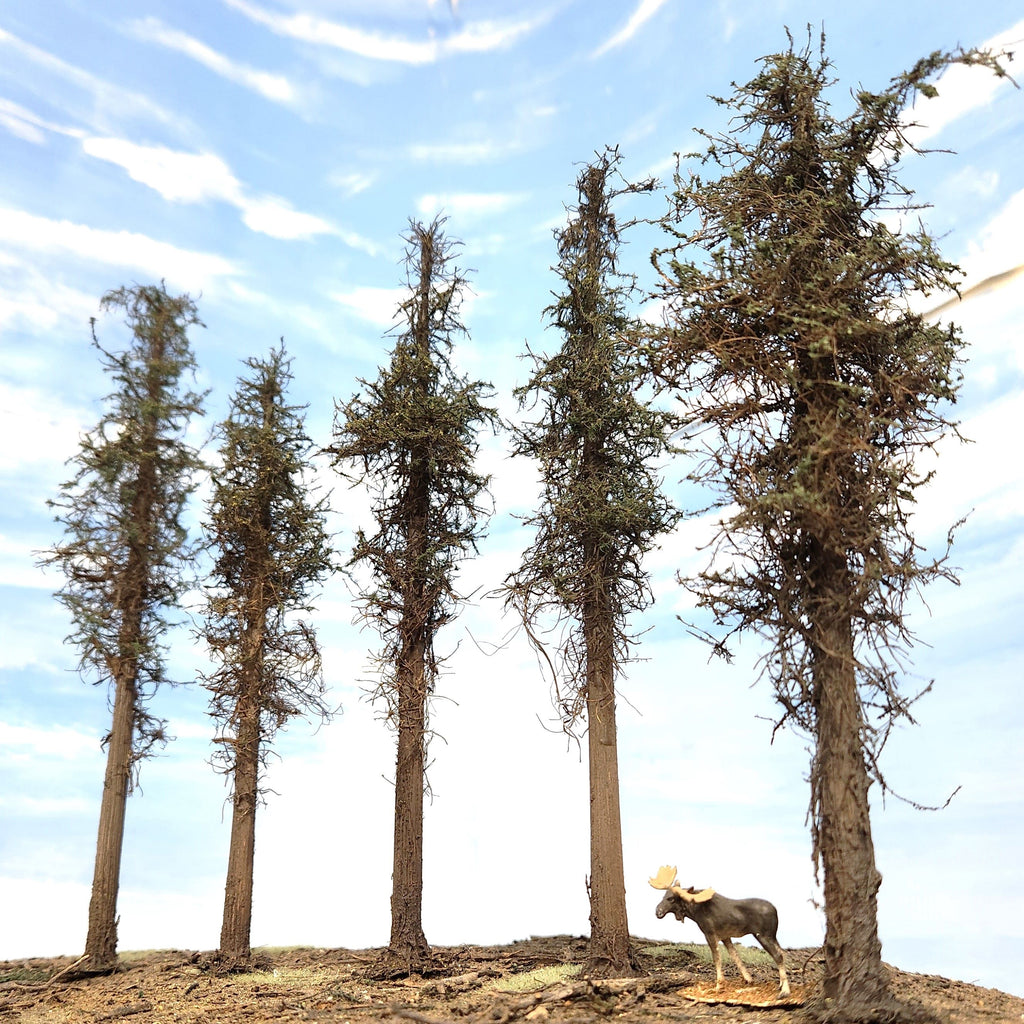 Lodgepole-Style Pine Trees, 8 inches, Five Trees