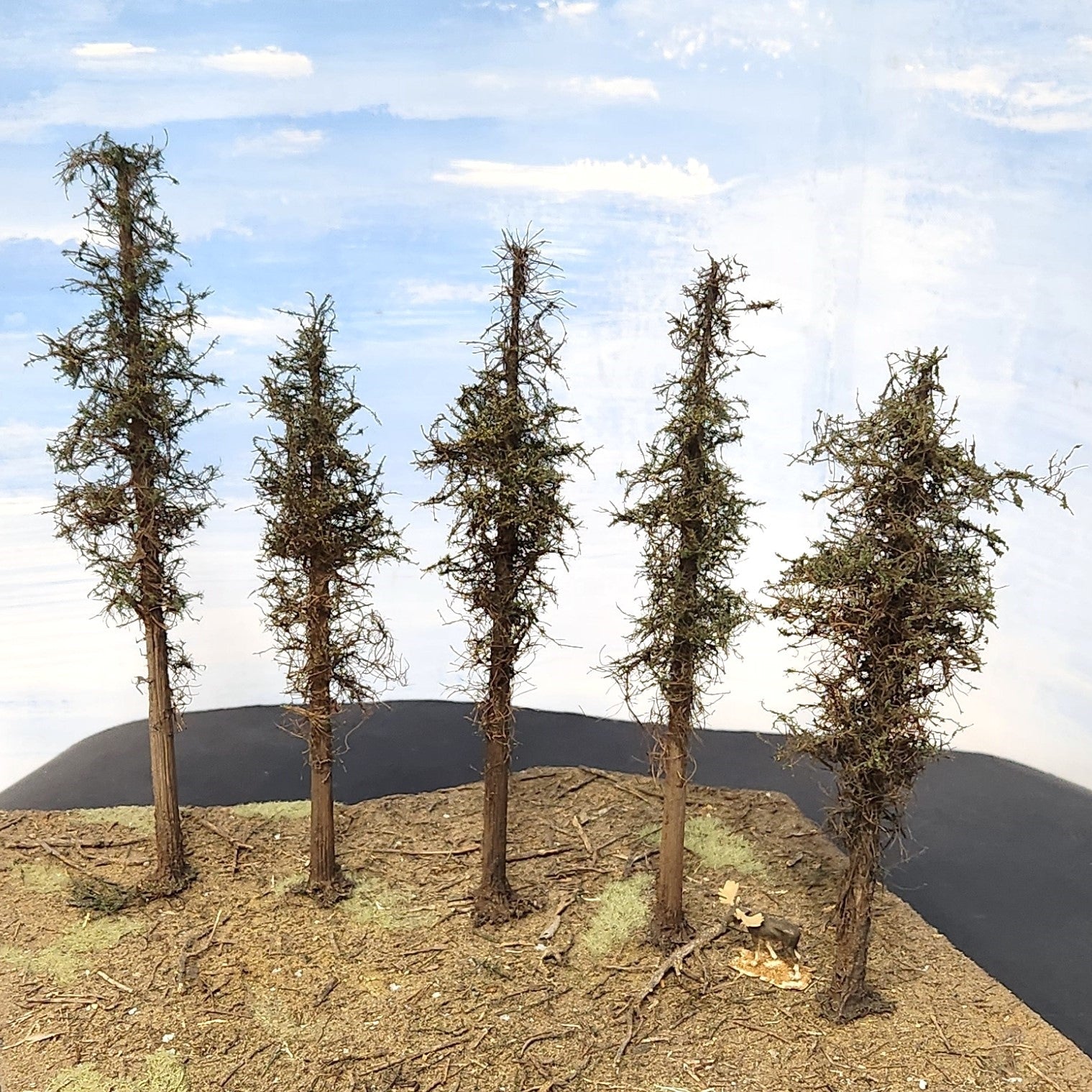 Lodgepole-Style Pine Trees, 8 inches, Five Trees