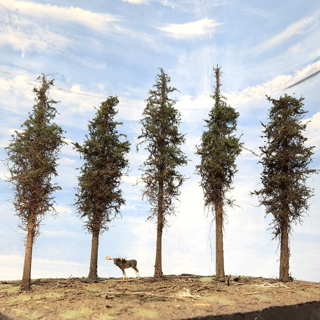 Lodgepole-Style Pine Trees, 8 inches, Five Trees