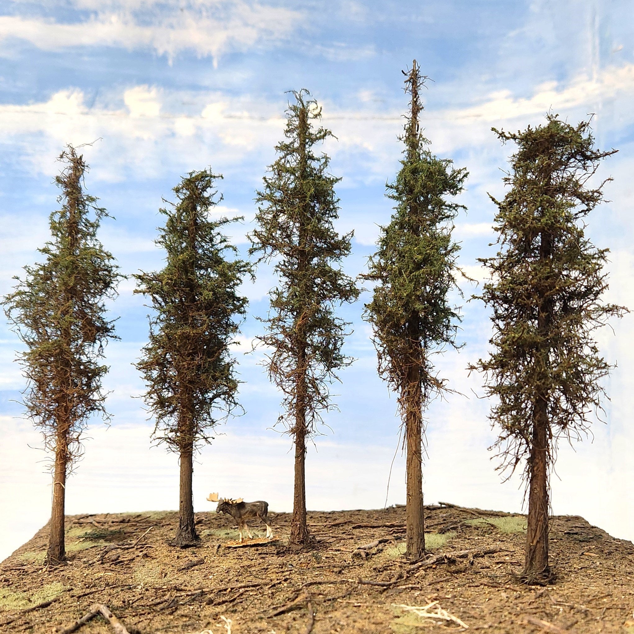 Lodgepole-Style Pine Trees, 8 inches, Five Trees