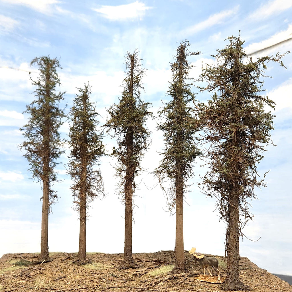 Lodgepole-Style Pine Trees, 8 inches, Five Trees