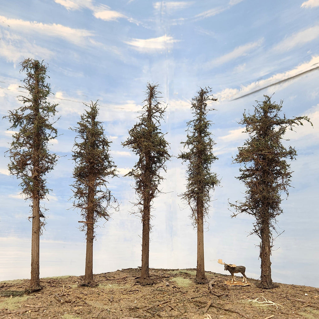 Lodgepole-Style Pine Trees, 8 inches, Five Trees