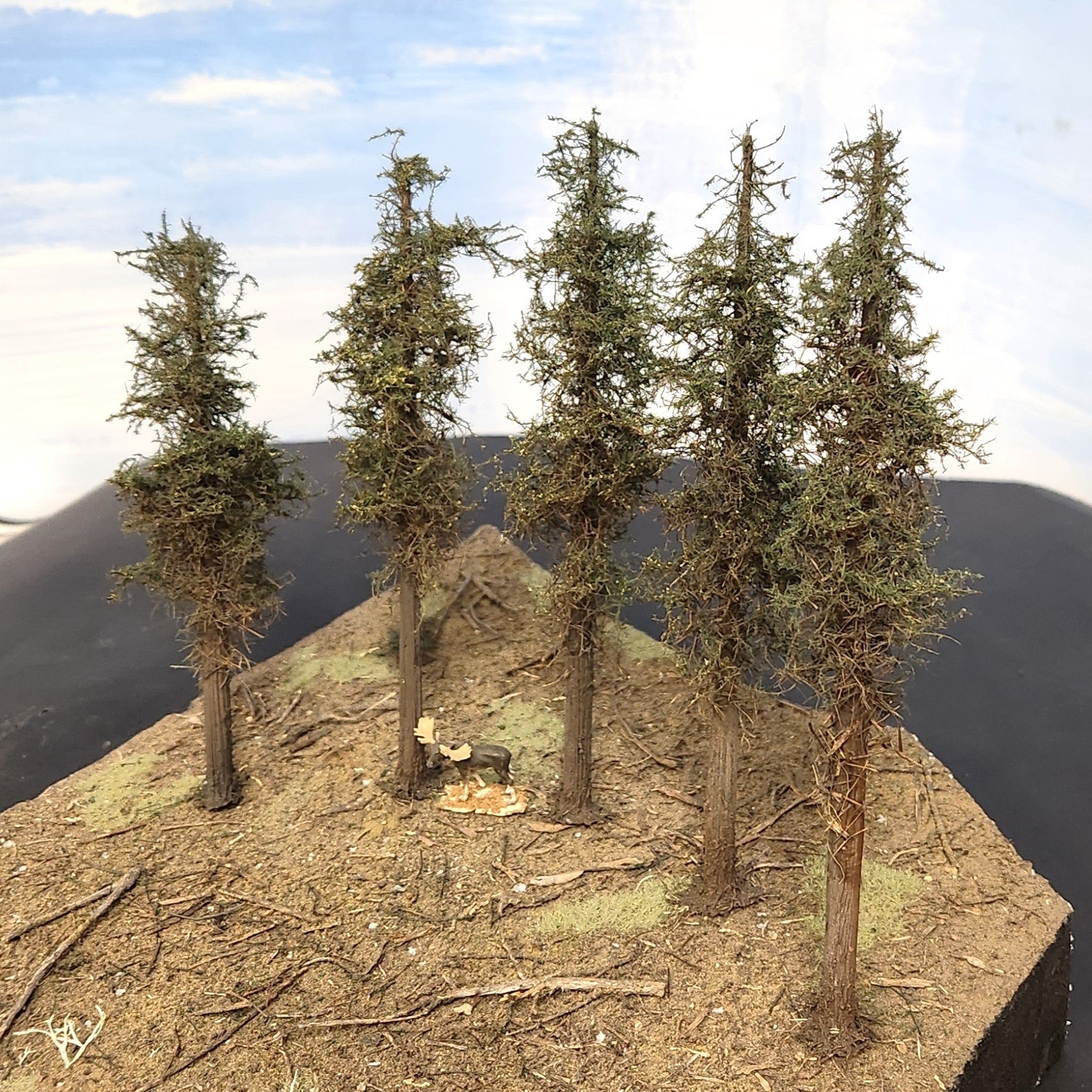 Lodgepole-Style Pine Trees, 8 inches, Five Trees