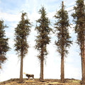 Lodgepole-Style Pine Trees, 11 inches, Three
