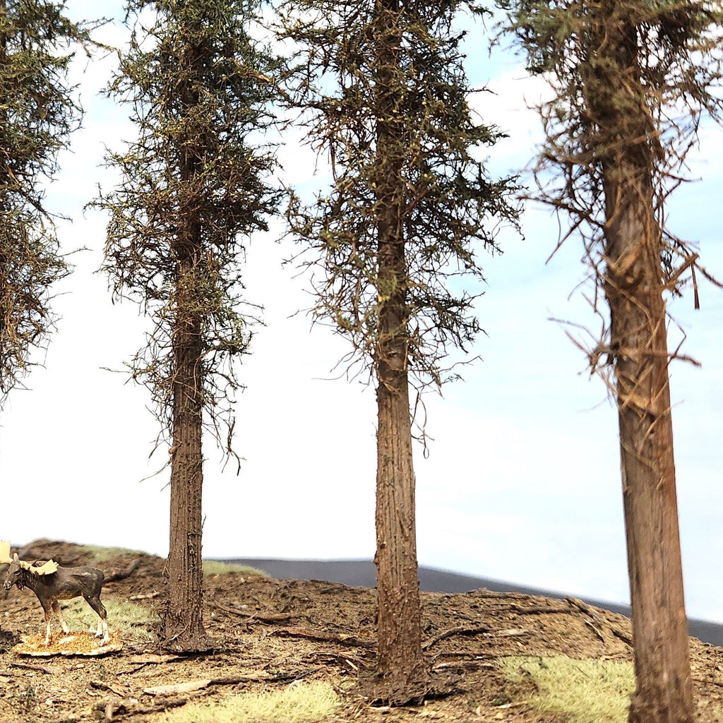 Lodgepole-Style Pine Trees, 11 inches, Three