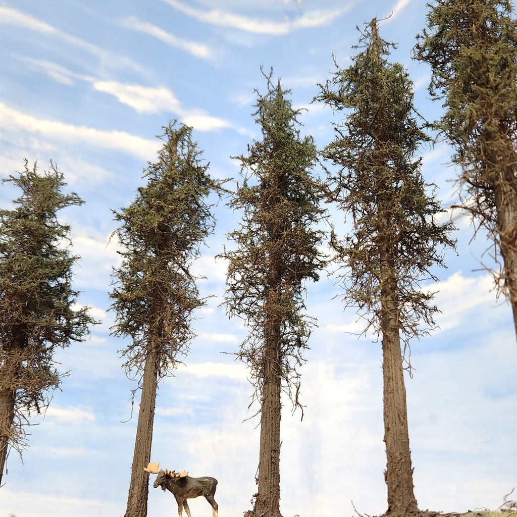 Lodgepole-Style Pine Trees, 11 inches, Three