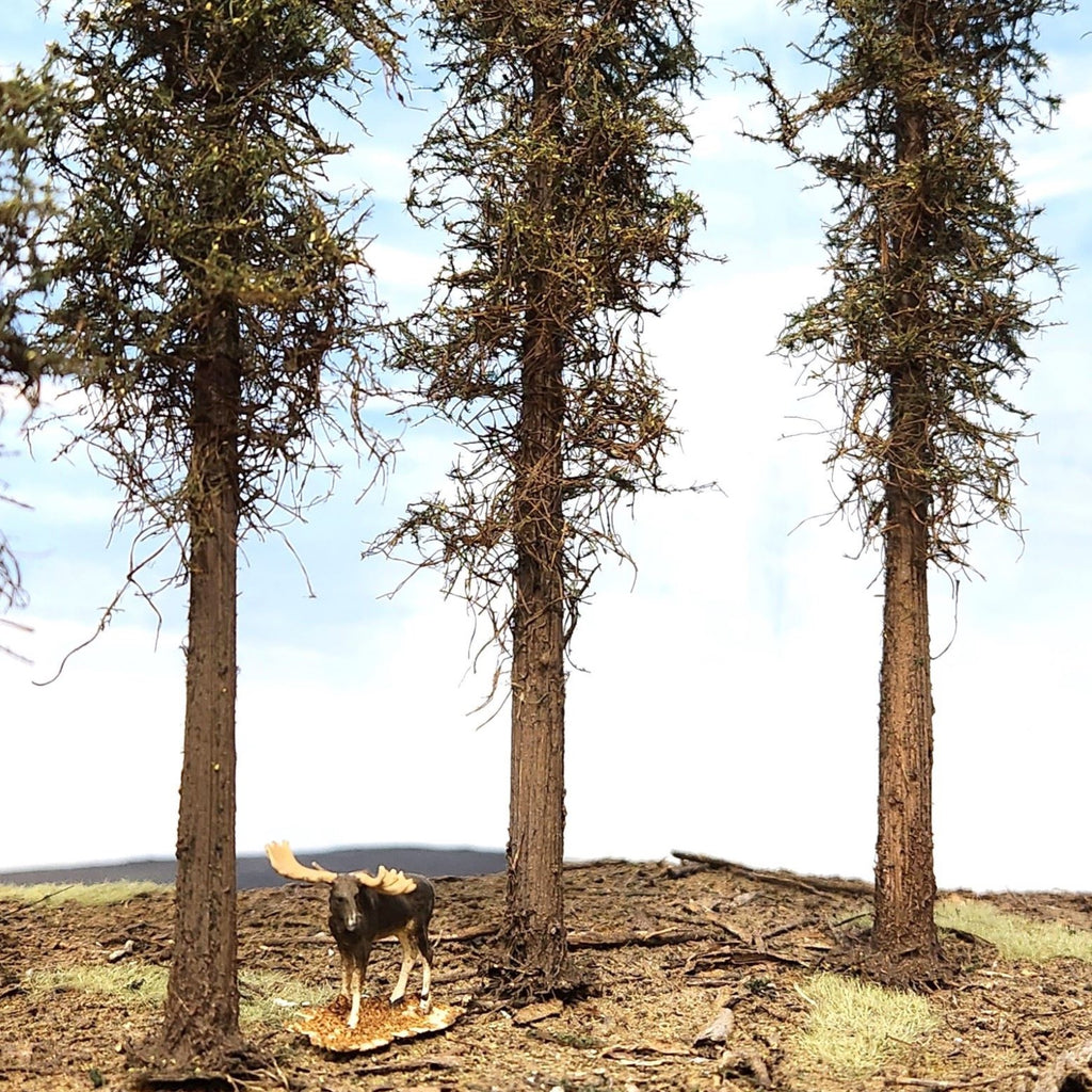 Lodgepole-Style Pine Trees, 11 inches, Three