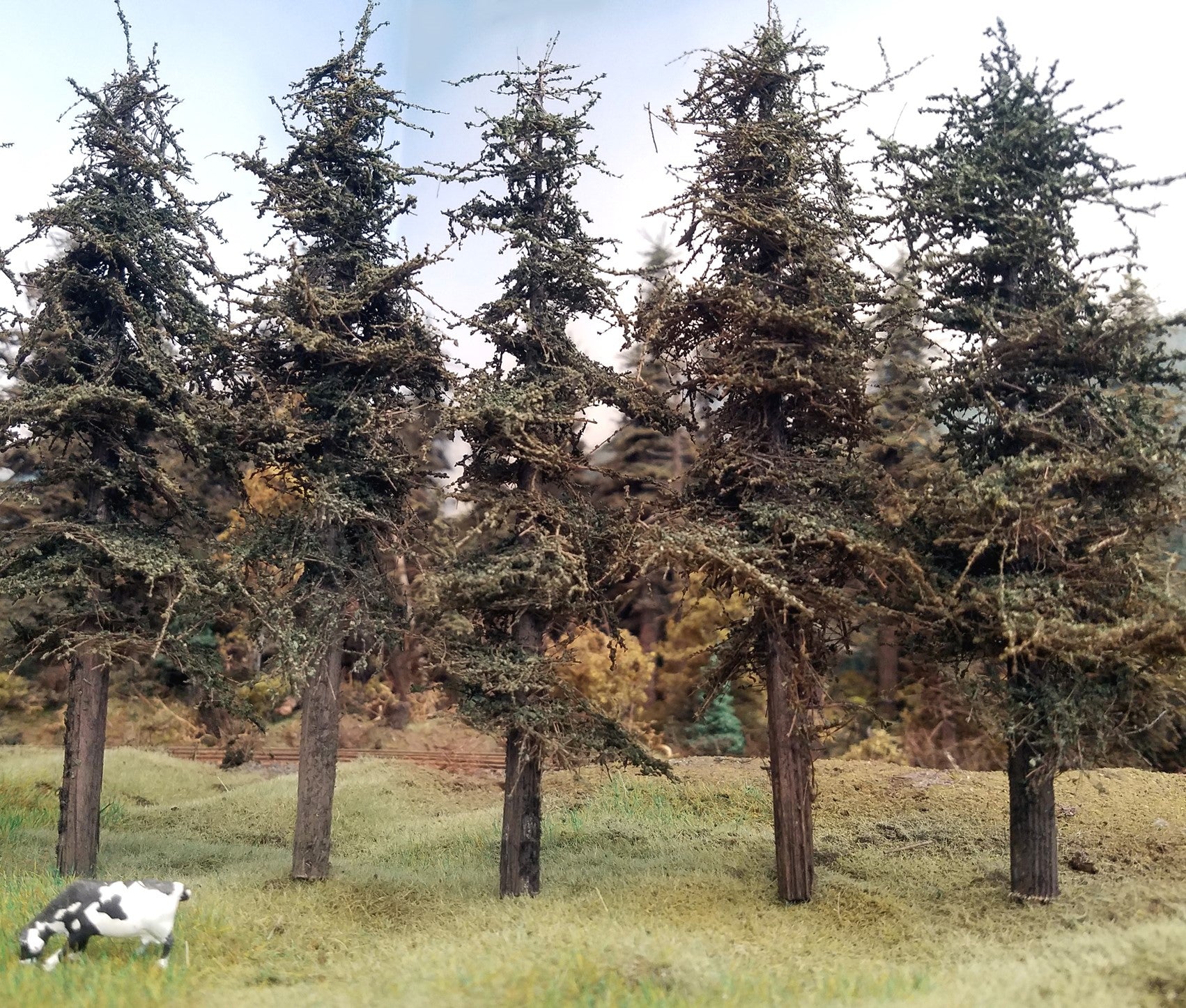 Standard Fir Trees - 7 Inches, FIVE