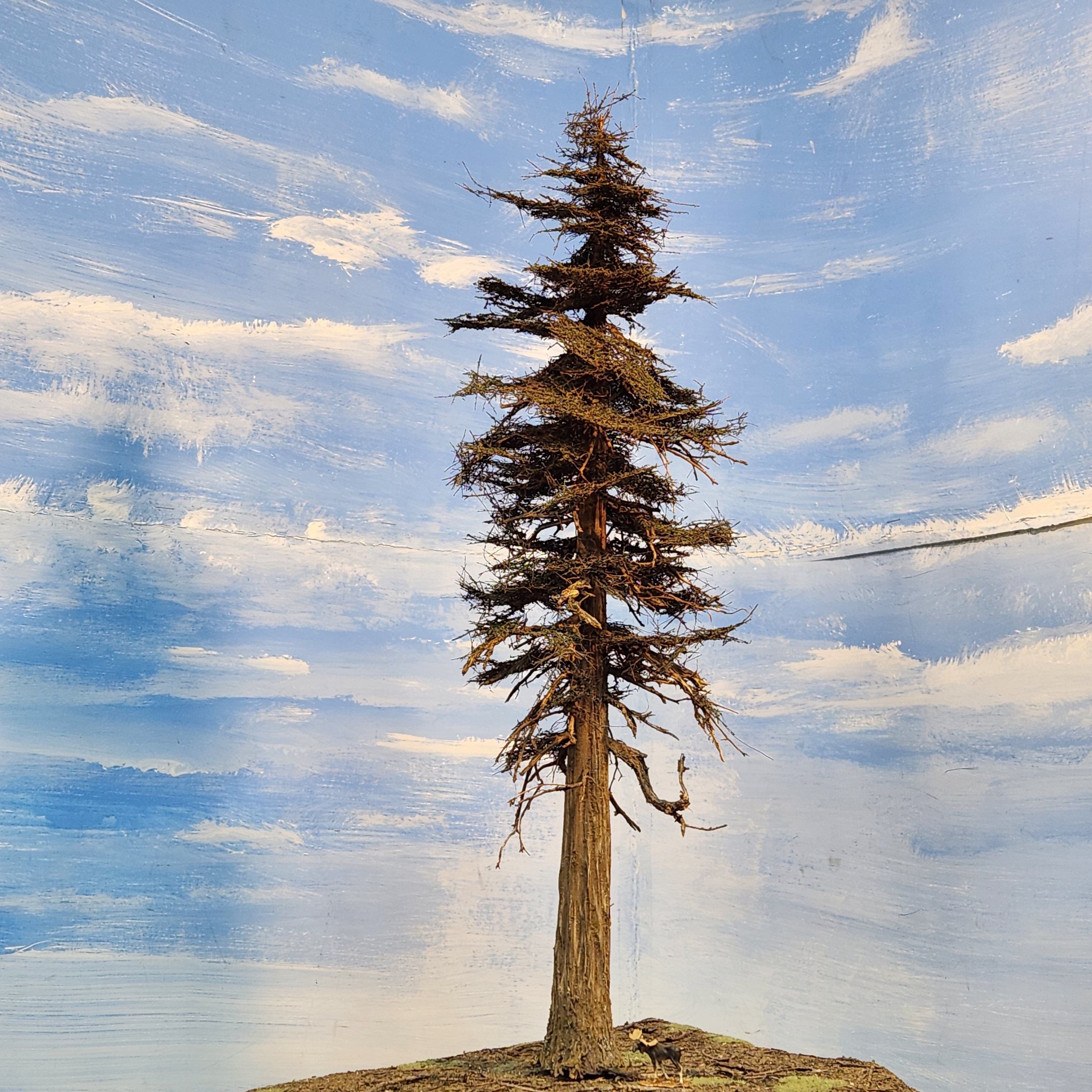 22 Inch Maximum Detail Fir