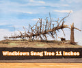 Downed SNAG Tree 11"
